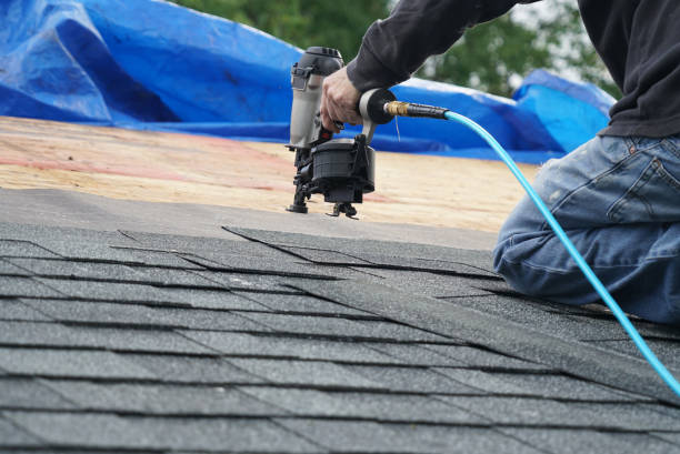 Best Roof Coating and Sealing  in Belleville, MI